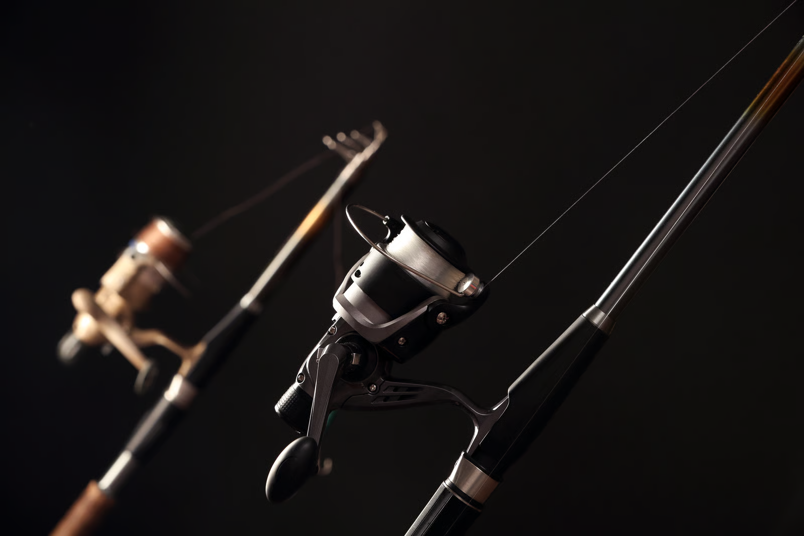 Rods